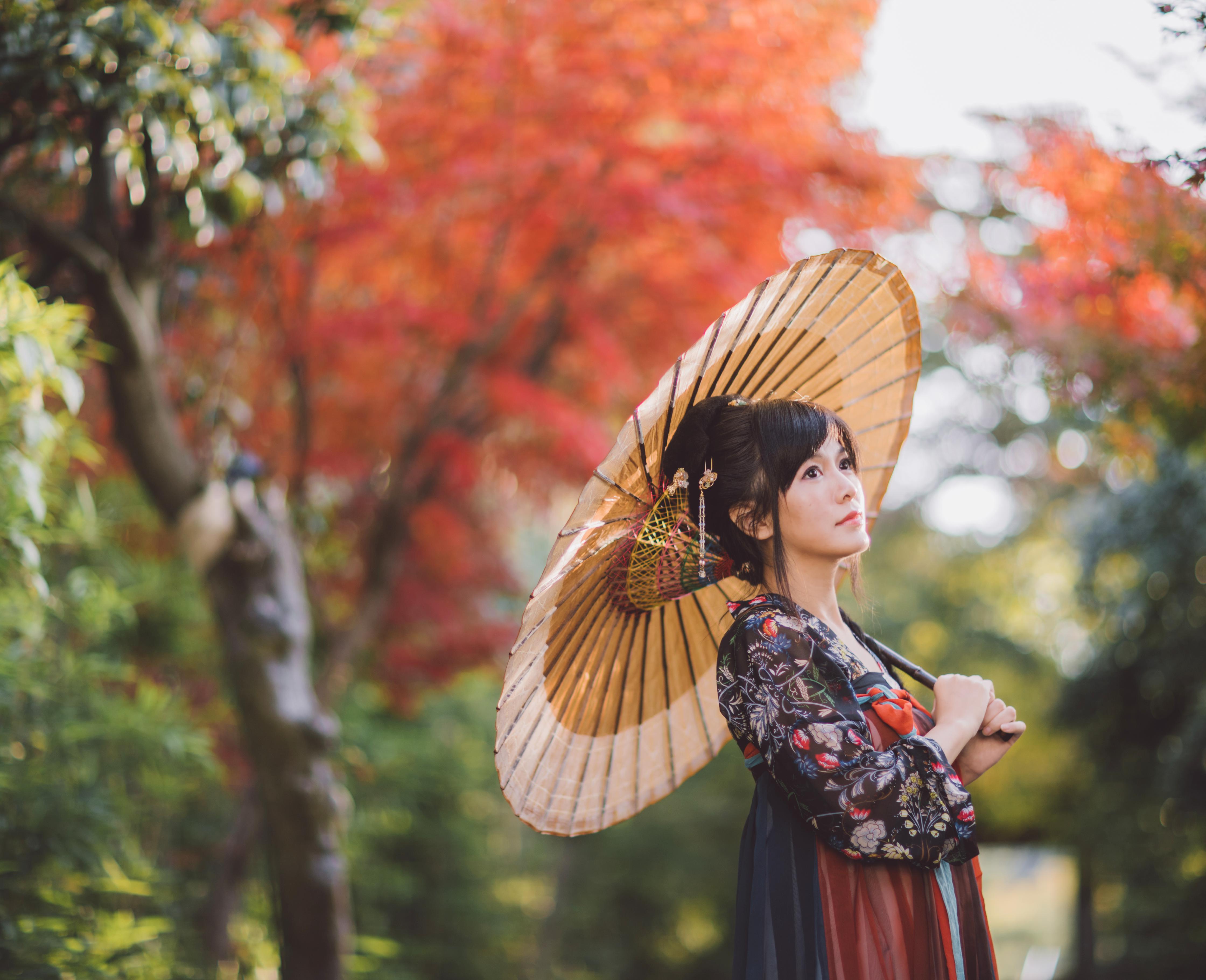 司夏