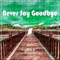 Never Say Goodbye