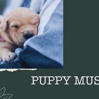 Puppy Music