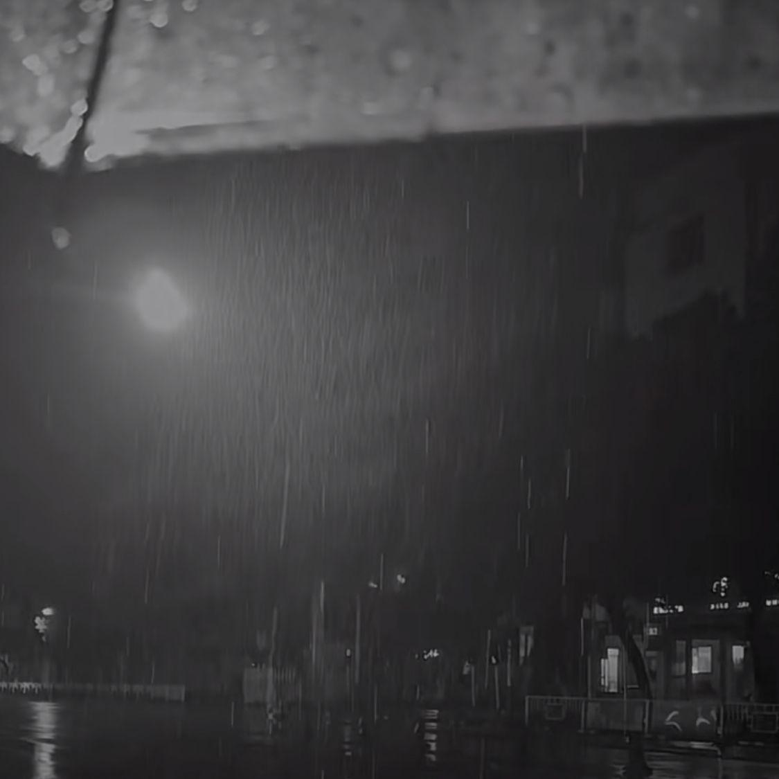 那天下雨了封面