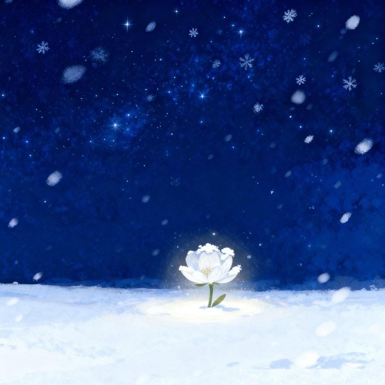 雪花(Blossom)封面