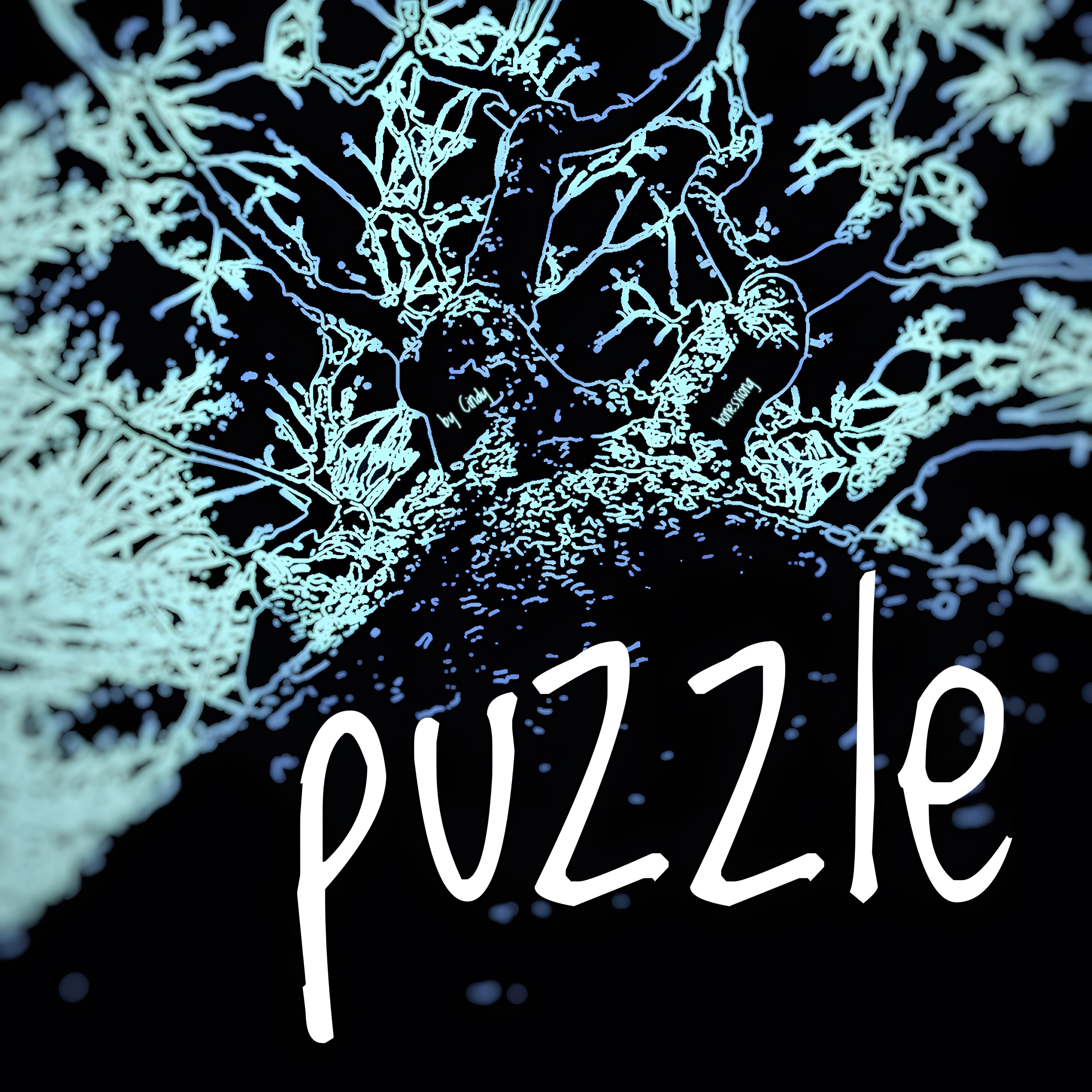 PUZZLE（谜题）封面