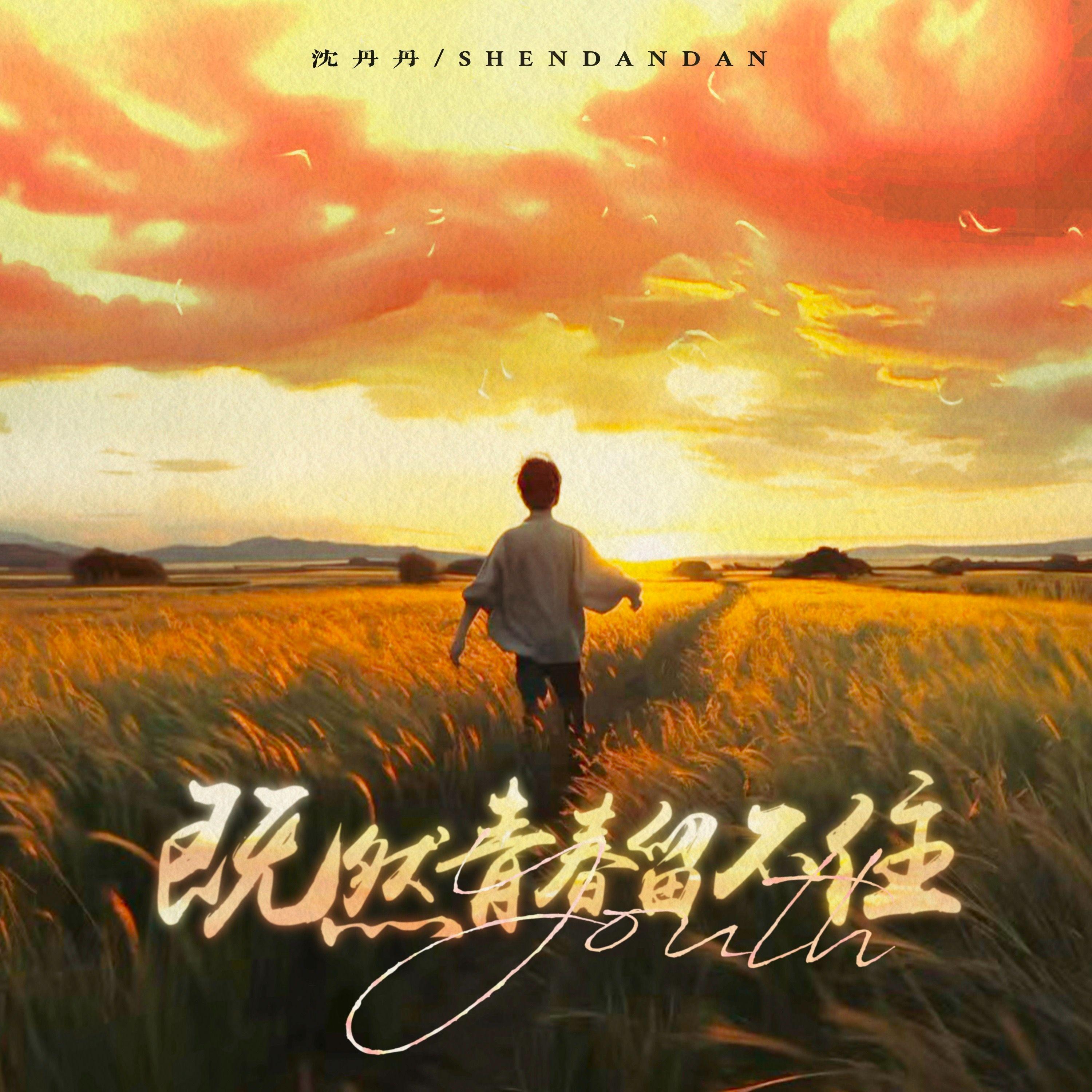 既然青春留不住_沈丹丹_既然青春留不住 | 在线播放_既然青春留不住歌词_既然青春留不住下载 | 网易云音乐