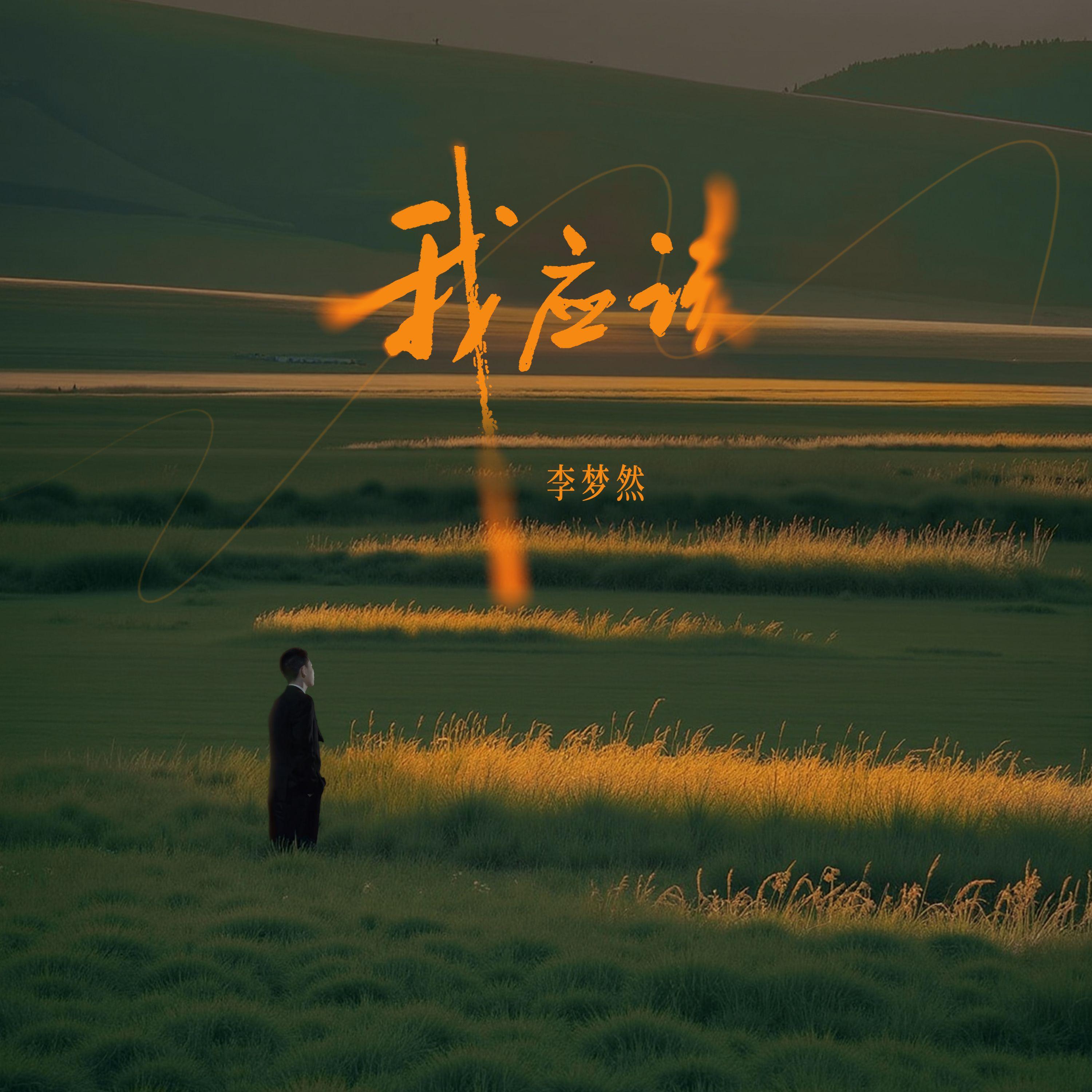 我应该封面