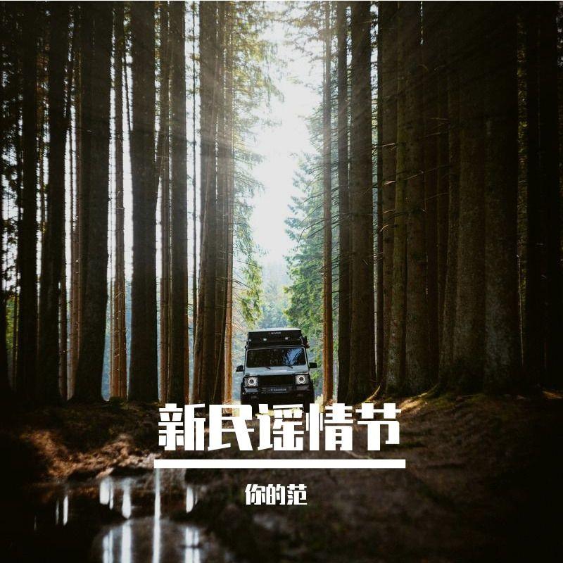 星空下的思念 - 你的范封面