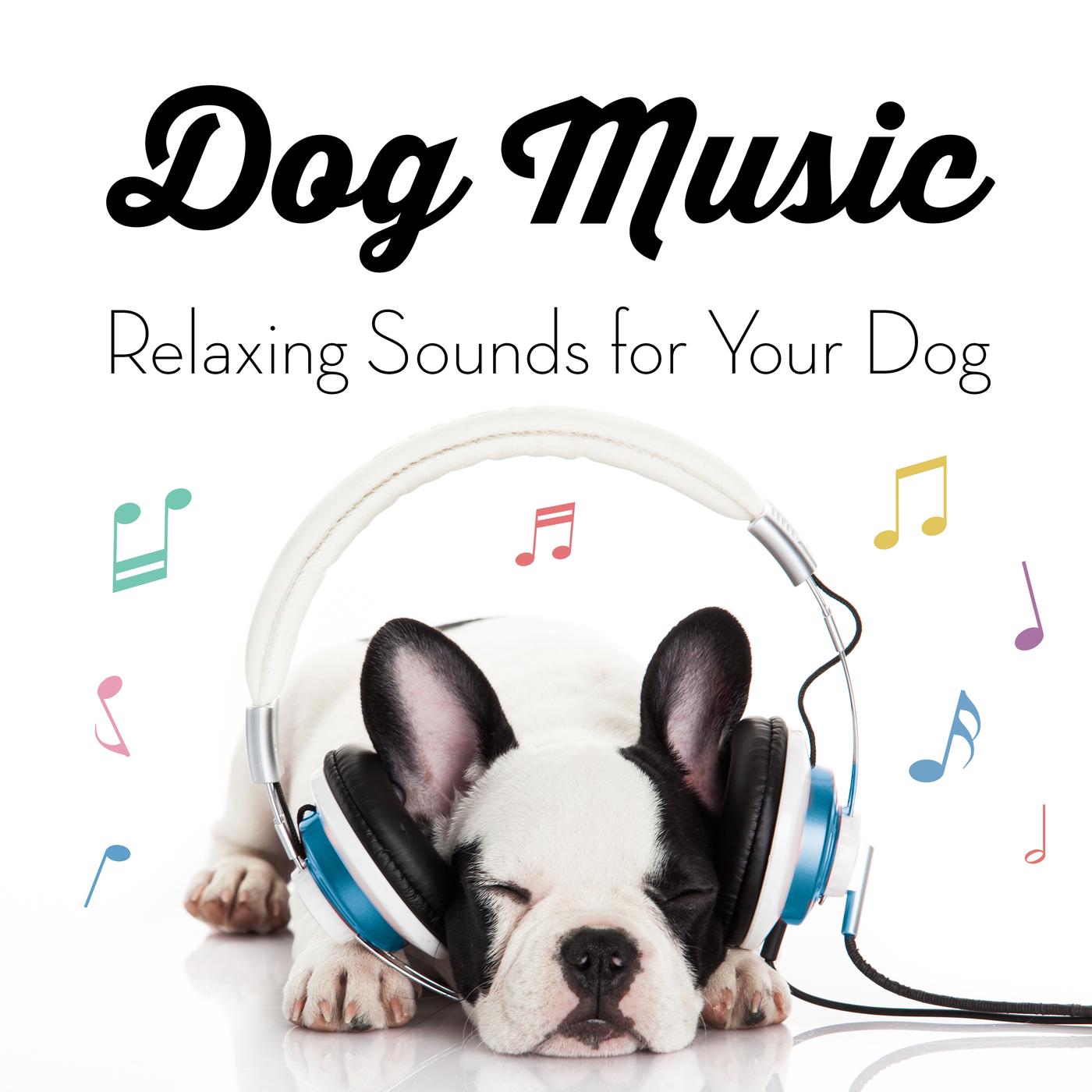 Music for Dogs