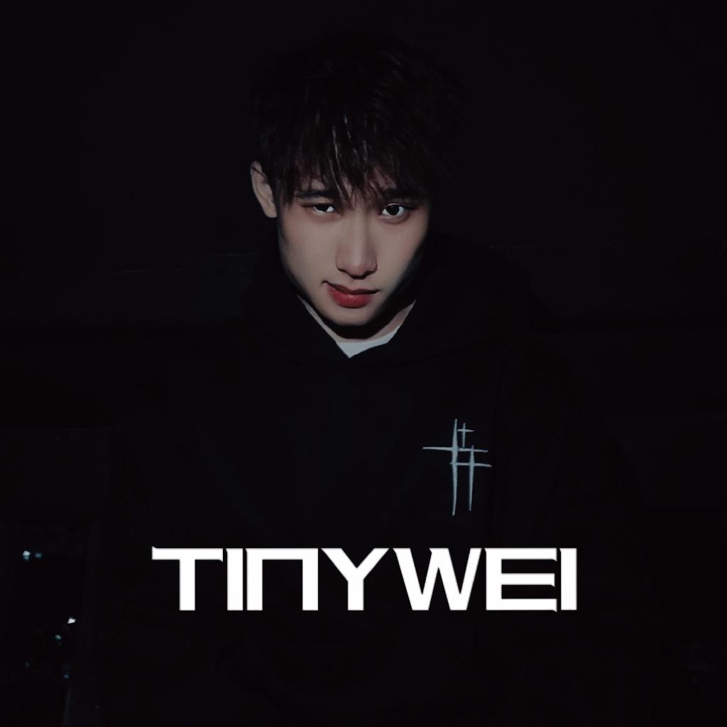 TINYWEI_Music