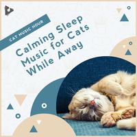 Calming Sleep Music for Cats While Away