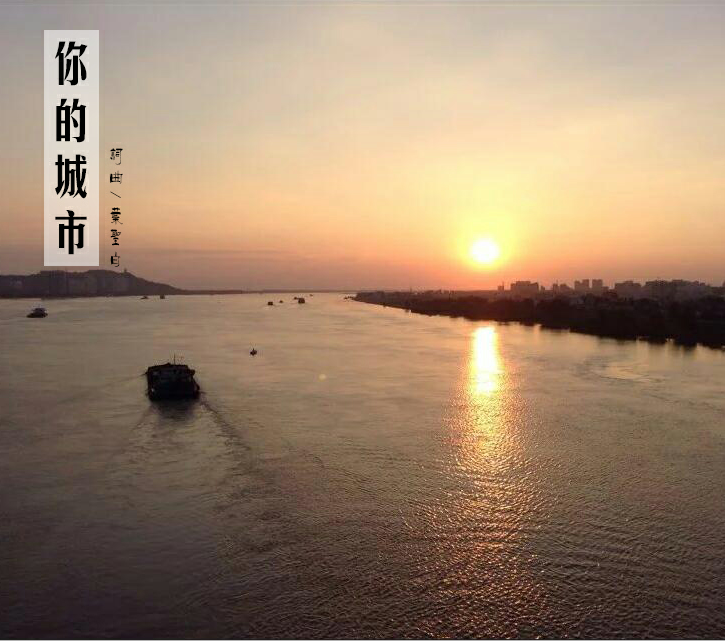 蝶恋花_张沁_你的城市 | 在线播放_蝶恋花歌词_蝶恋花下载 | 网易云音乐