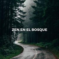 Zen En El Bosque: Reflexiones Boscosas