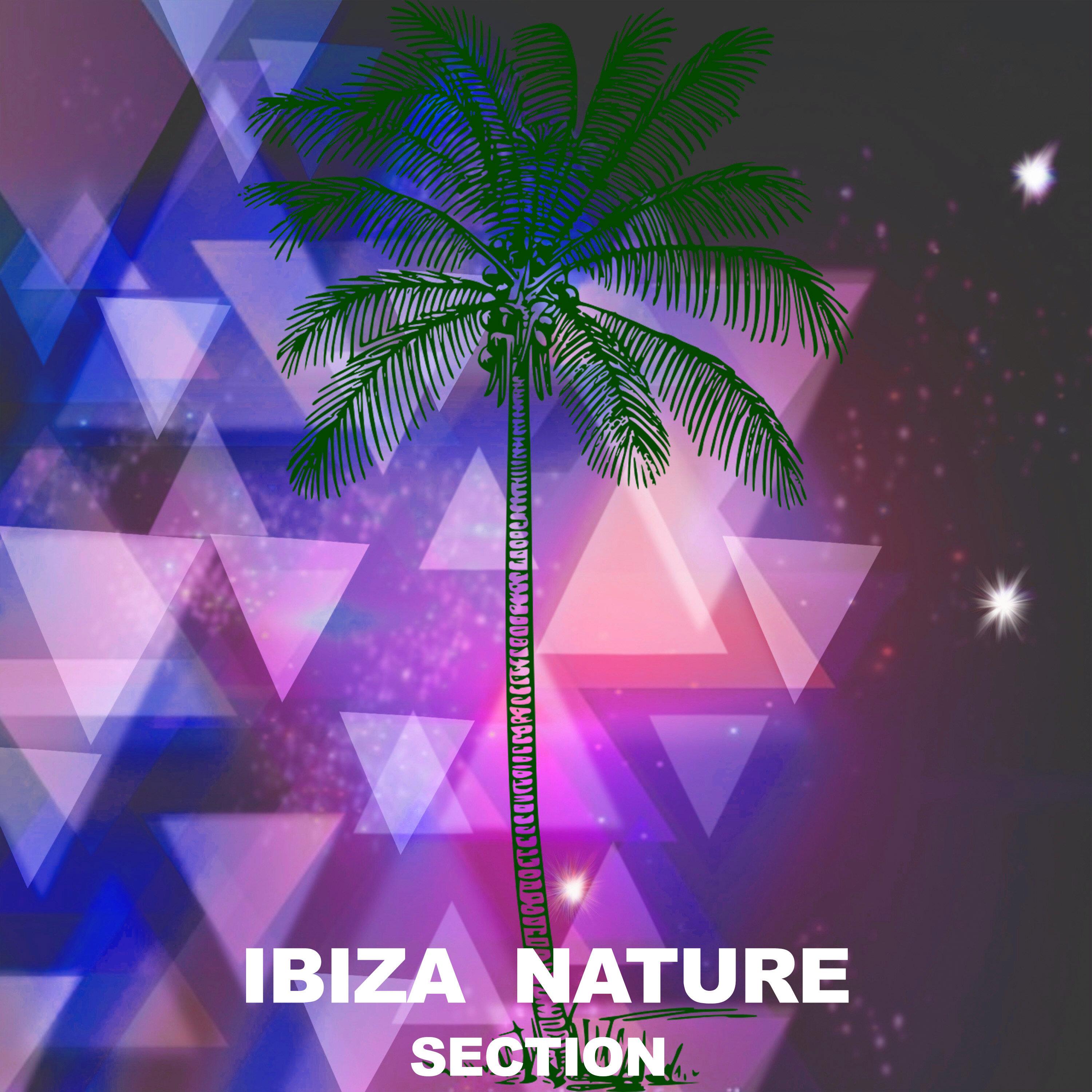 Robot Voice (Dub Mix) Sergii Petrenko 单曲 网易云音乐