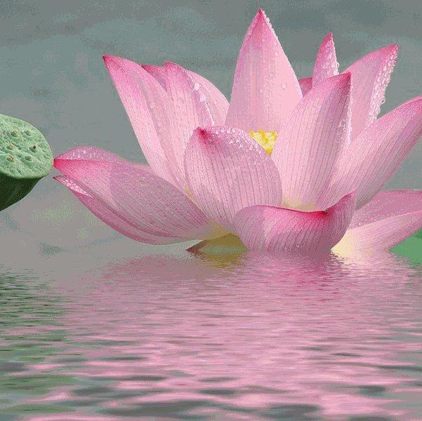 Christine佳昕姑姑