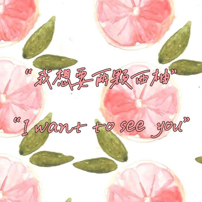 See You（西柚）封面