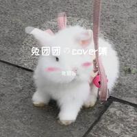 兔团团のcover集