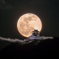 掀不起波澜.
