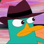 橘色的加州阳光s