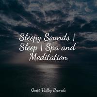 Sleepy Sounds | Sleep | Spa and Meditation
