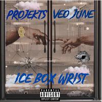 Ice Box Wrist (feat. Projekts)