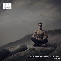 Relaxing Aura of Meditation Tunes, Vol. 01