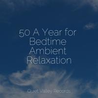 50 A Year for Bedtime Ambient Relaxation For Dogs