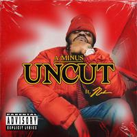 Uncut (feat. Nolan the Ninja)