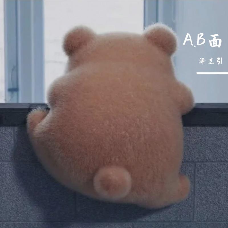 不敢再爱封面