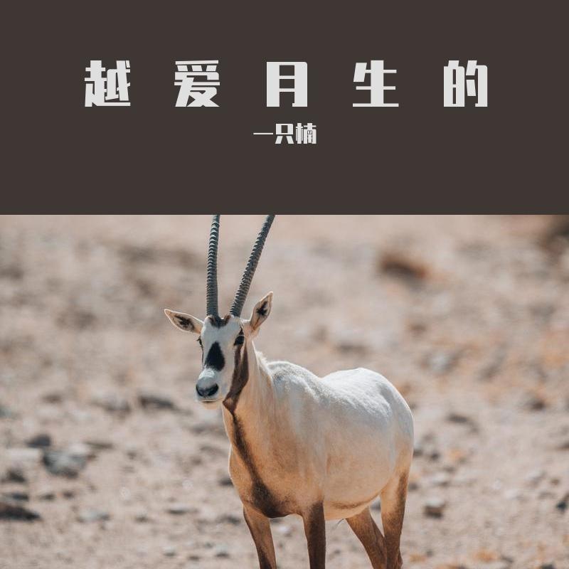阴天 伴奏封面