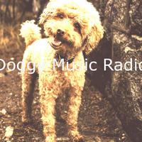 Doggy Music Radio