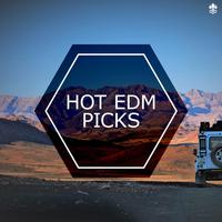 Hot EDM Picks