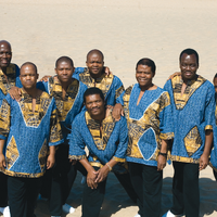 Ladysmith Black Mambazo