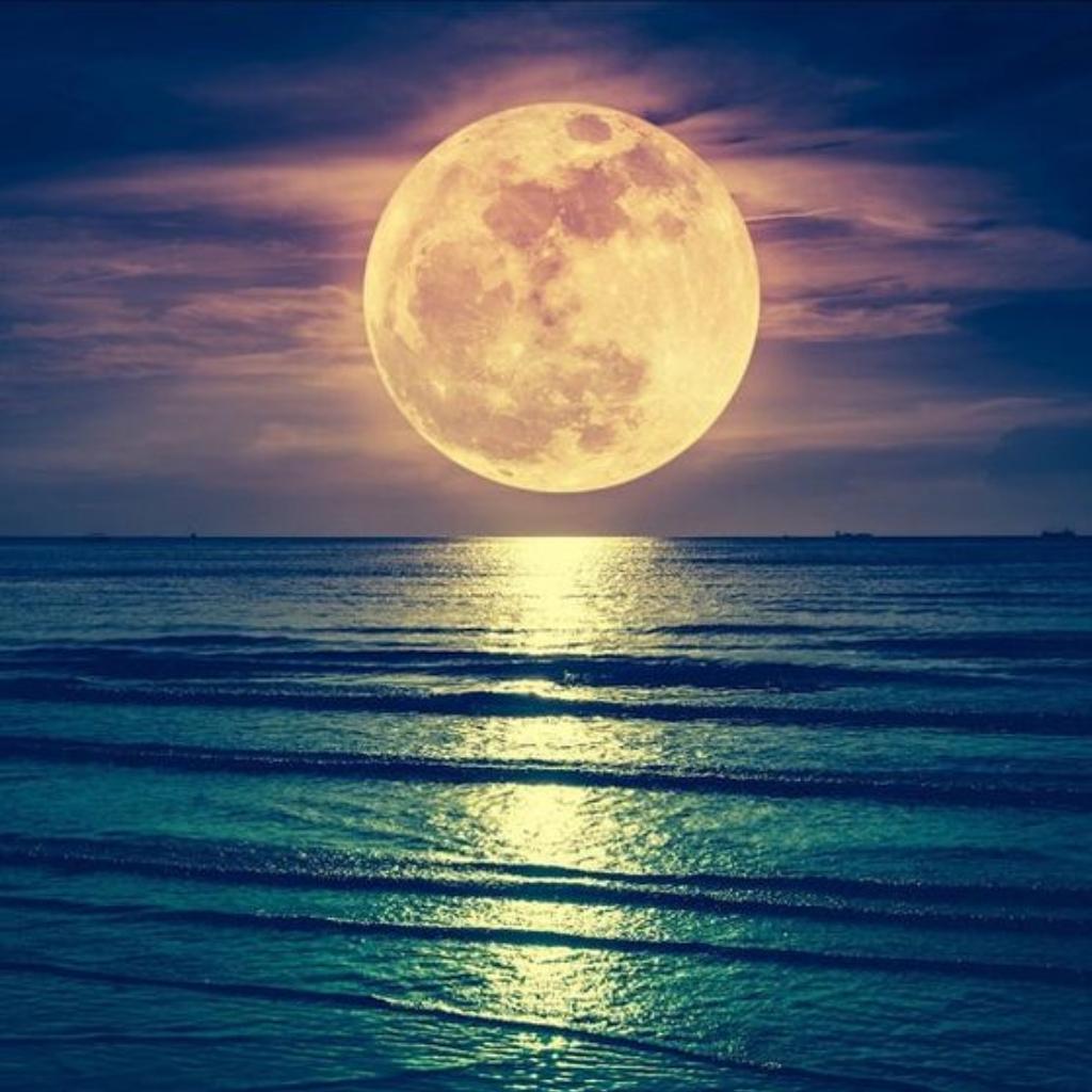 【0-100岁】哄睡、催眠，摇篮曲