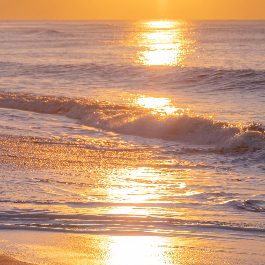 爱吃茼蒿的心心