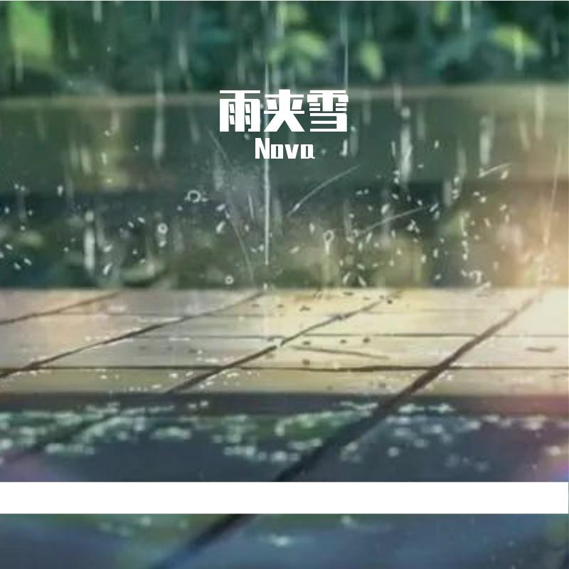 雨夹雪封面