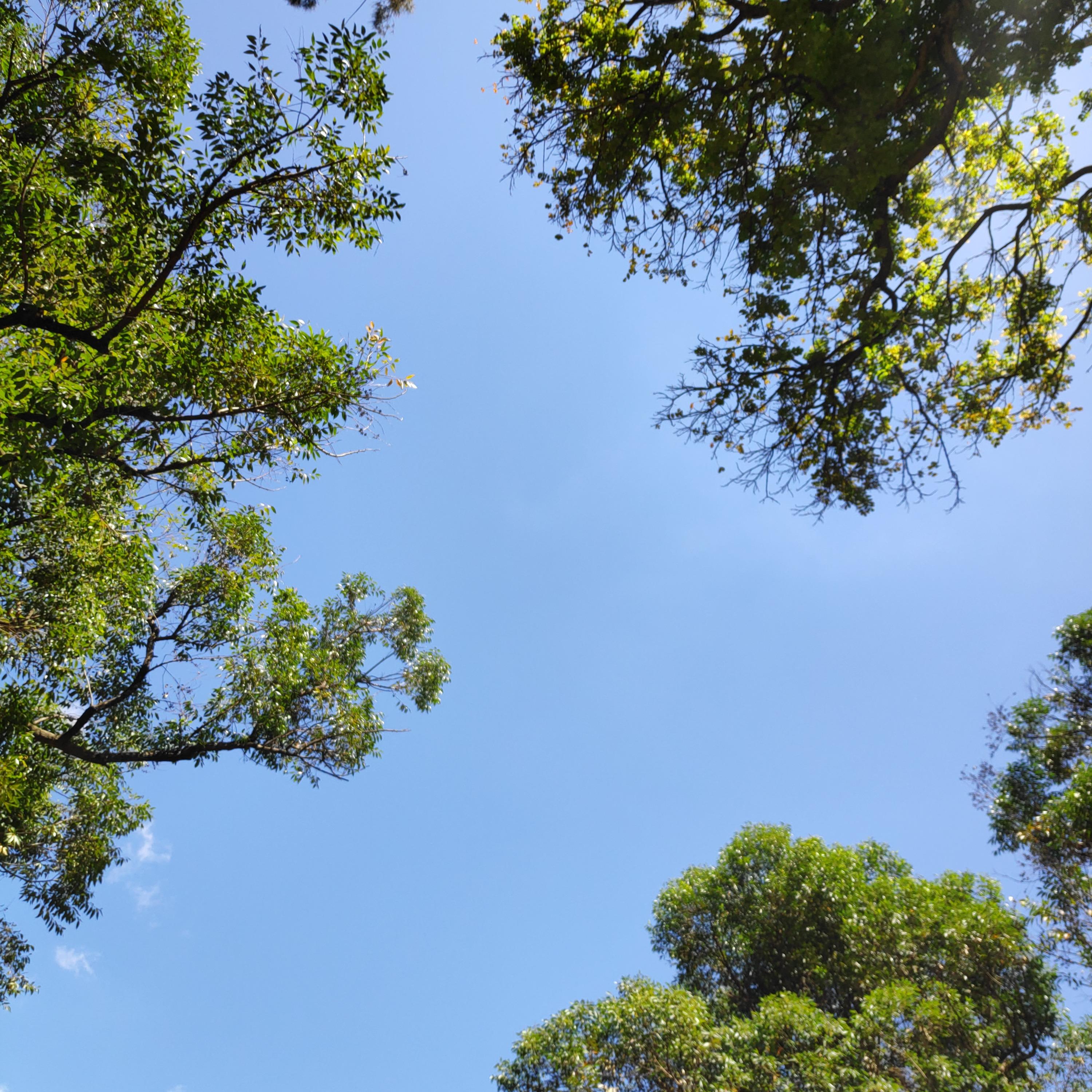 Free Me (Instrumental)