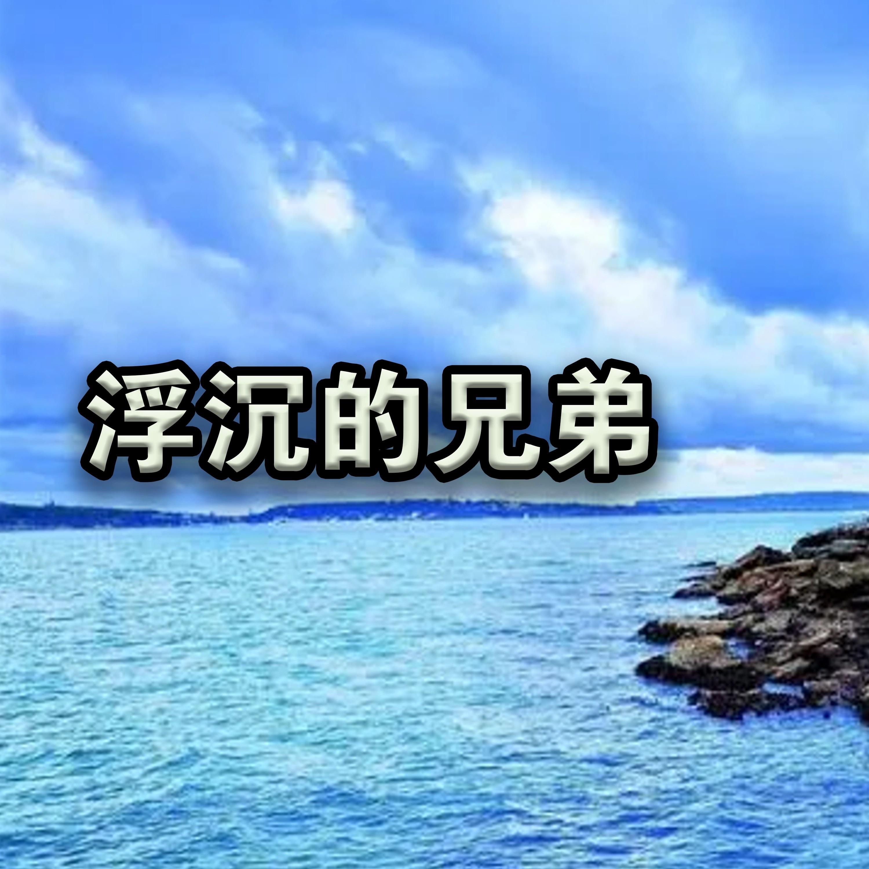 浮沉的兄弟封面
