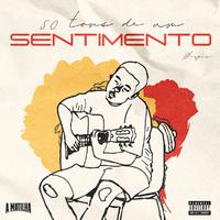 50 Tons De Um Sentimento