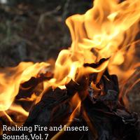 Realxing Fire and Insects Sounds, Vol. 7