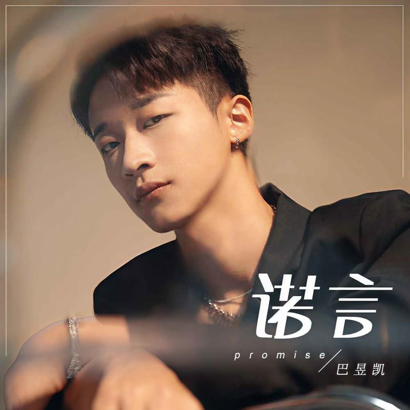 诺言 (DJ默涵版伴奏)封面