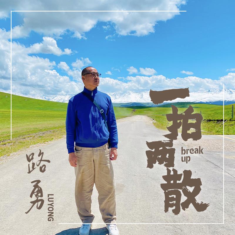 一拍两散封面