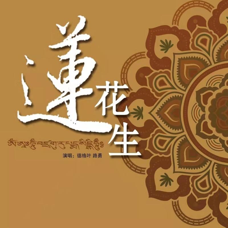 莲花生封面