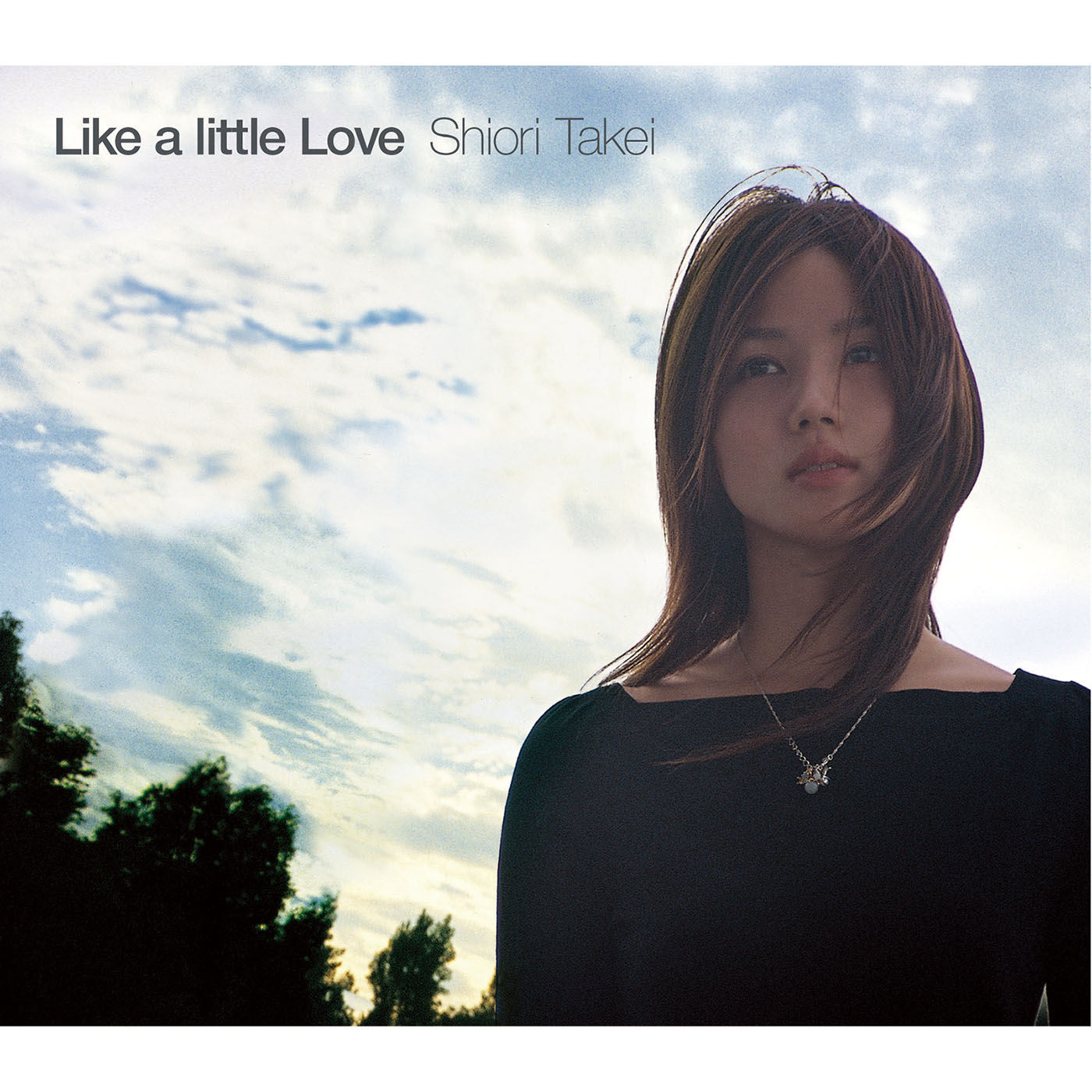 あたたかな冬の日