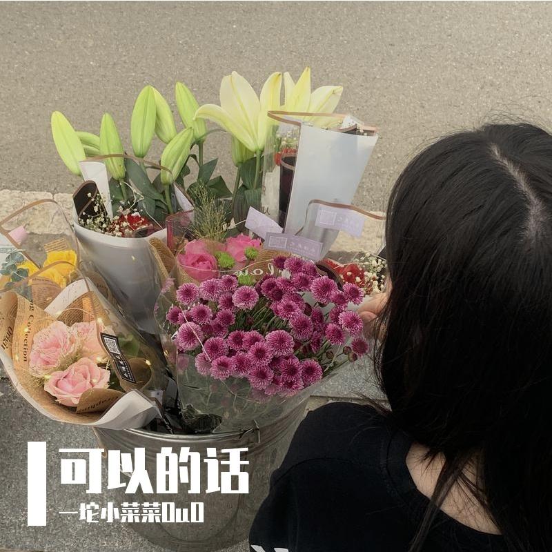 可以的话封面