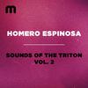 Homero Espinosa - Dancing Into The Future