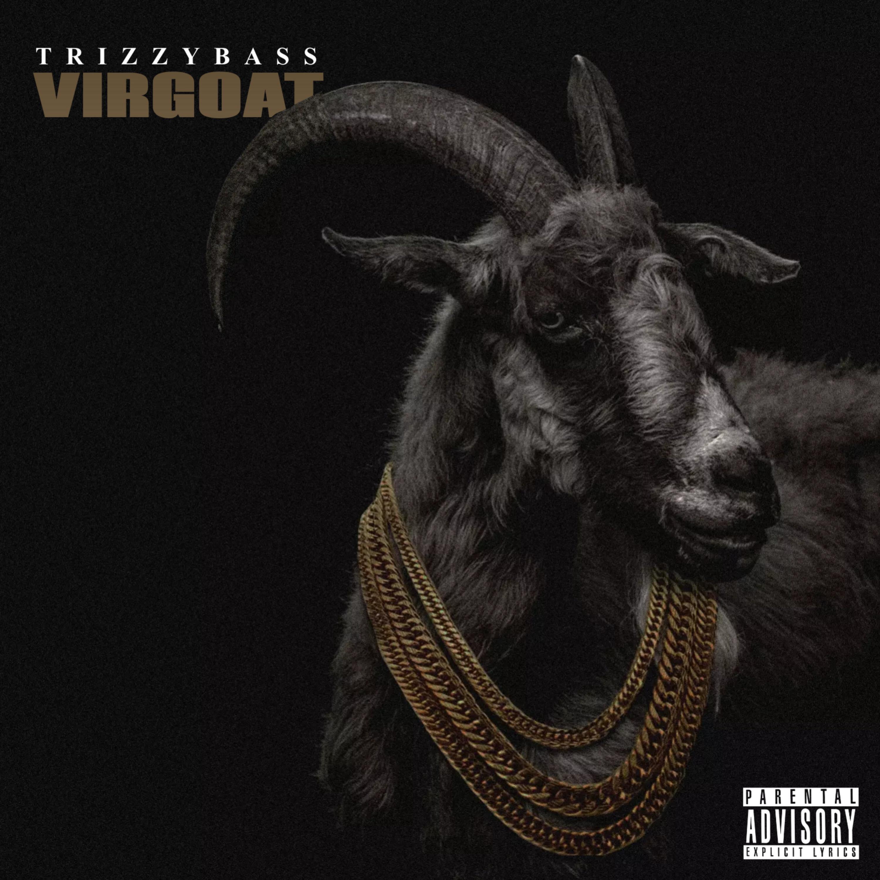 Can't Shake Her (feat. Sean Price) TrizzyBass/Sean Price 单曲 网易云音乐