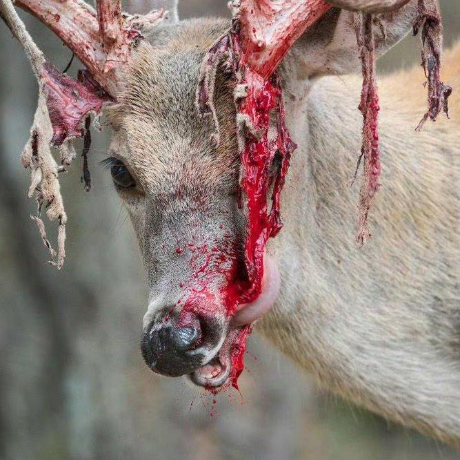 saygoodbyetomyopenness