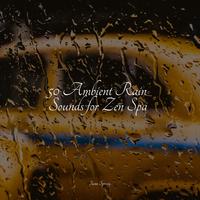 50 Peaceful Ambient Rain Tracks