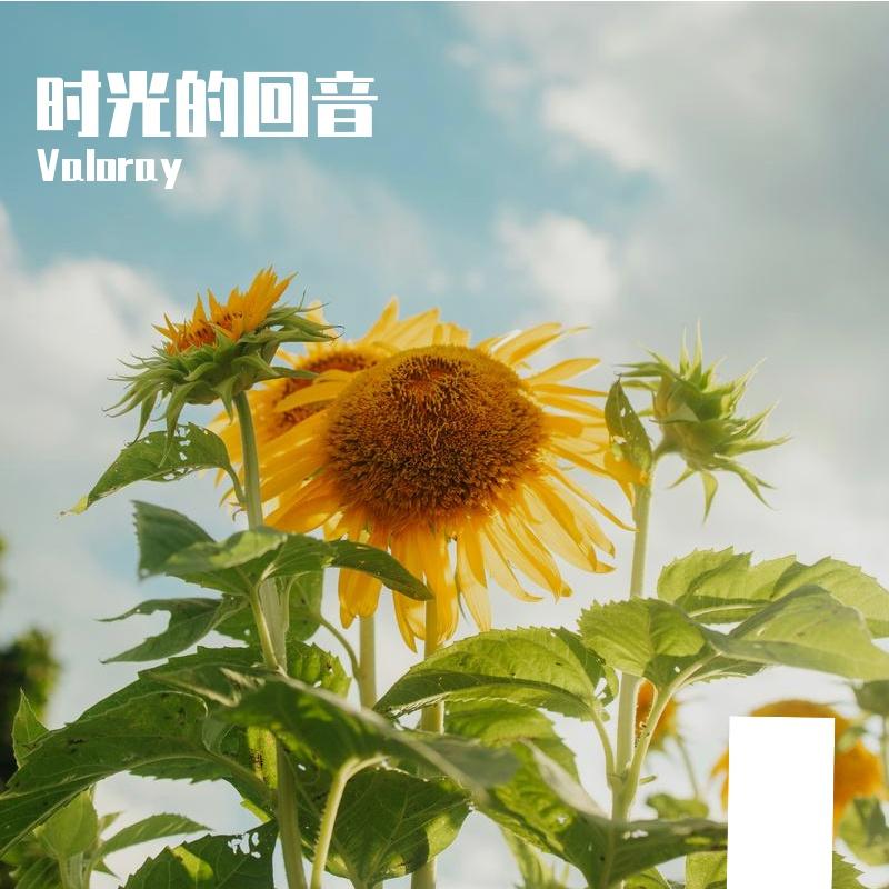 课桌心跳封面