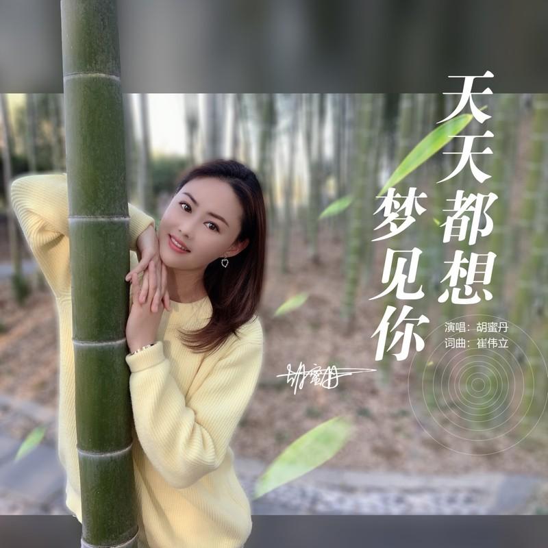 天天都想梦见你 (伴奏)封面
