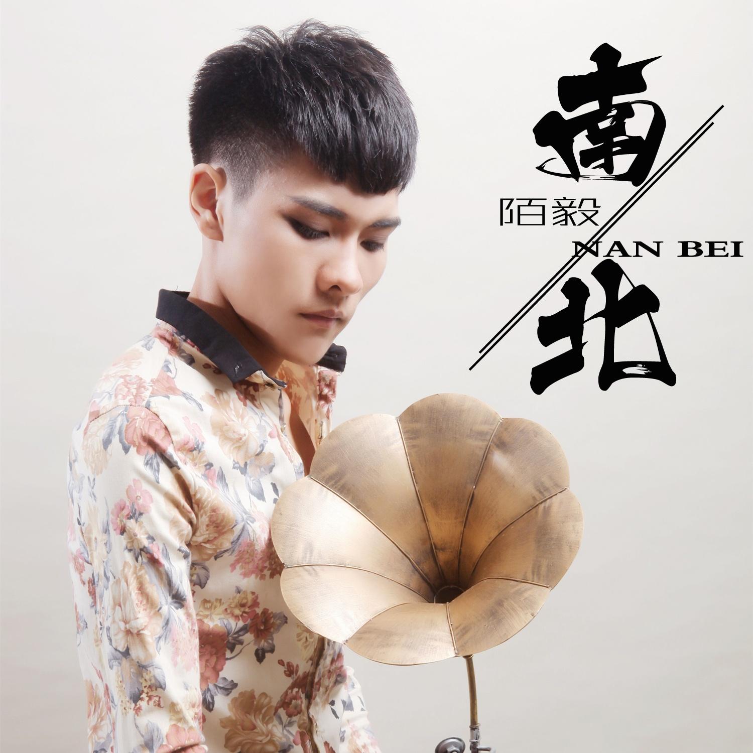 心痛爱的太迟封面