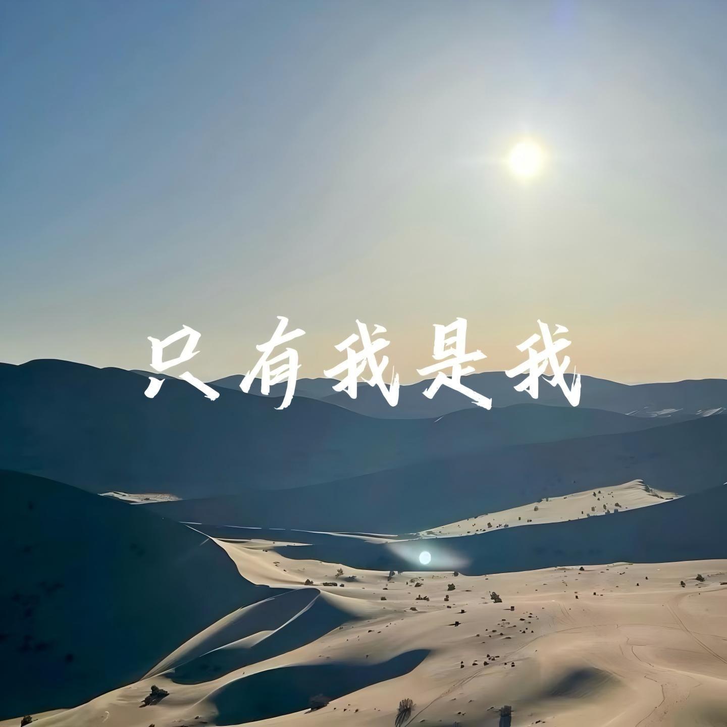 只有我是我（伴奏）封面